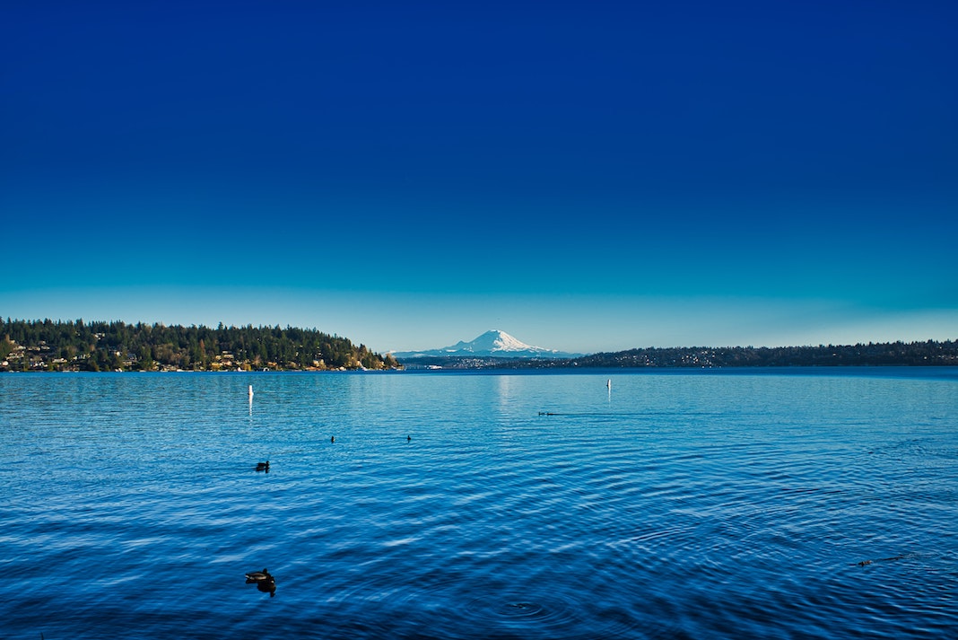 Seward Park and Mount Rainier Photo by Benjamin Massello